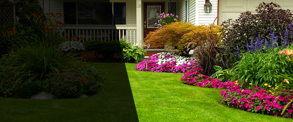 Oak Park Landscapers